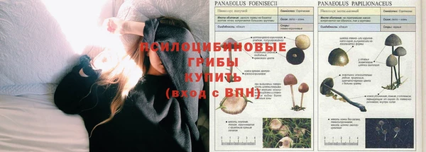 спиды Алексин