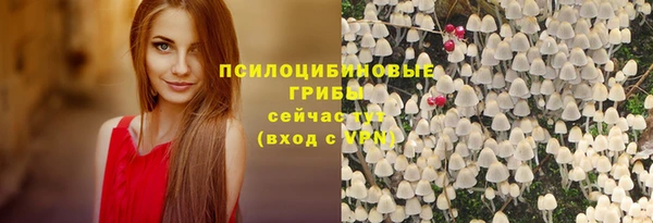 эйфоретик Алексеевка