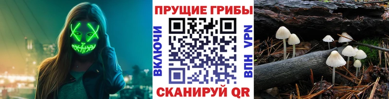 даркнет сайт  маркетплейс какой сайт  Галлюциногенные грибы прущие грибы  Ликино-Дулёво 